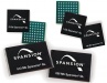 AMD/Spansion
