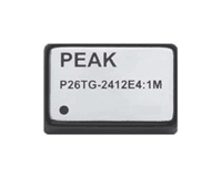 p22tg-2405e4:1m, dc/dc-конвертор P22TG-2405E4:1M, DC/DC-конвертор